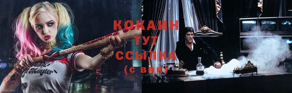 ешки Арсеньев