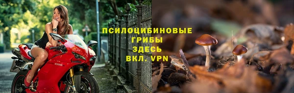 спайс Аркадак