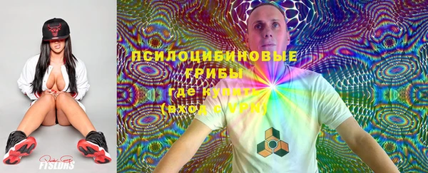 спайс Аркадак