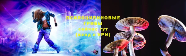 ешки Арсеньев