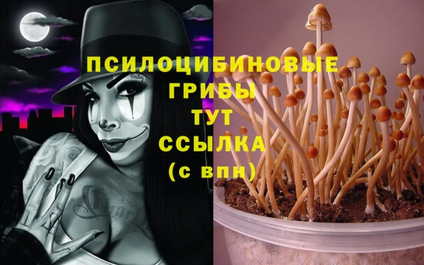 гидра Армянск