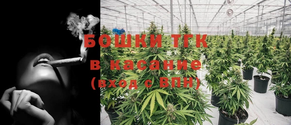 ешки Арсеньев
