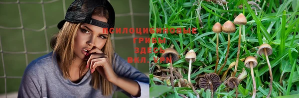 ешки Арсеньев