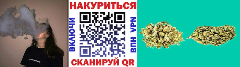 Конопля OG Kush сколько стоит Городище